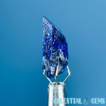 Grade A Gem Azurite Crystalline Mini Specimen (Video)