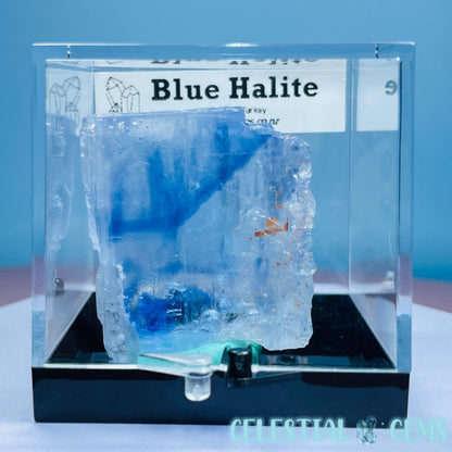 Rare Blue Halite Small Specimen in Box