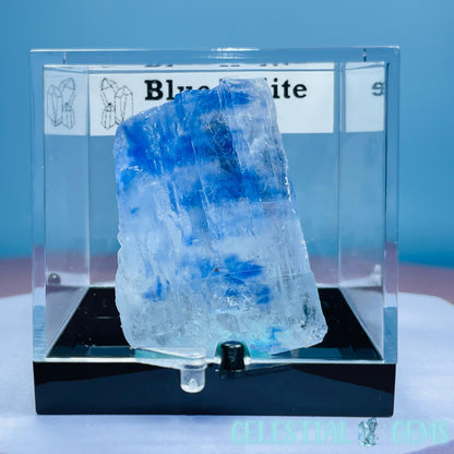 Rare Blue Halite Small Specimen in Box