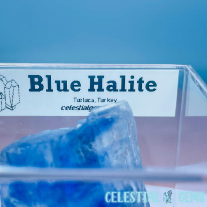 Rare Blue Halite Small Specimen in Box