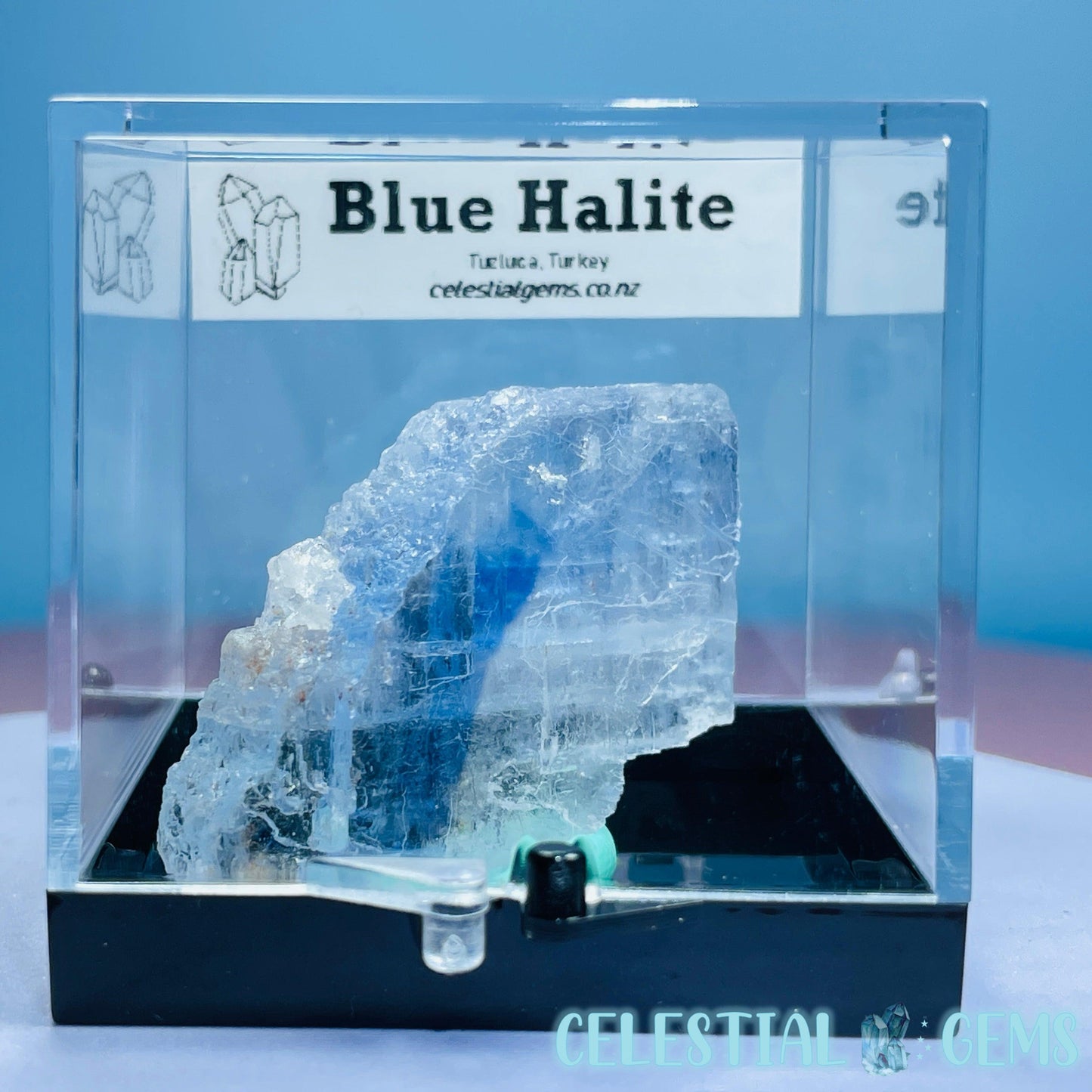 Rare Blue Halite Small Specimen in Box