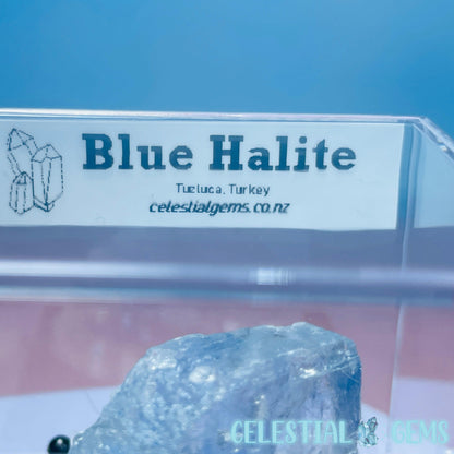 Rare Blue Halite Small Specimen in Box