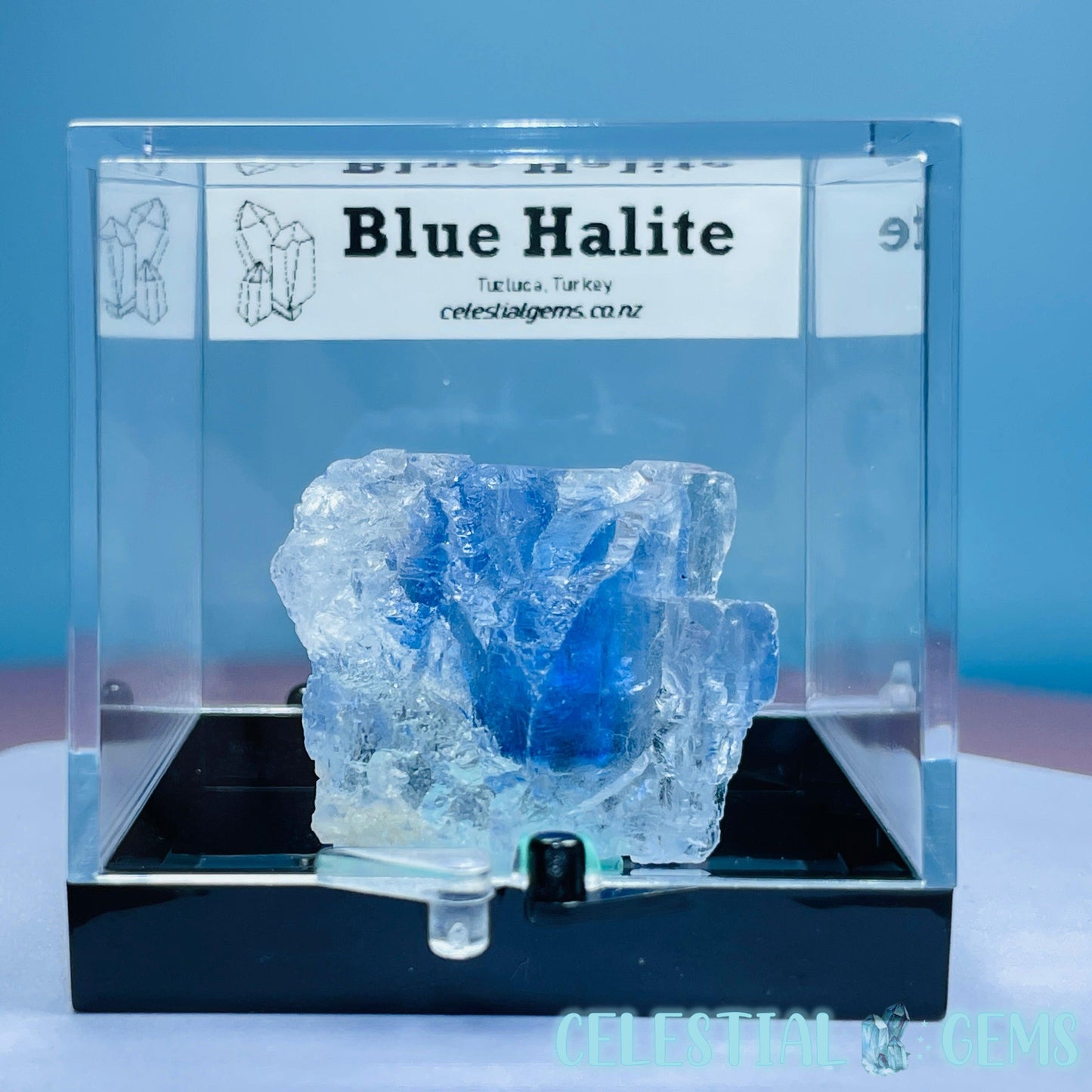 Rare Blue Halite Small Specimen in Box