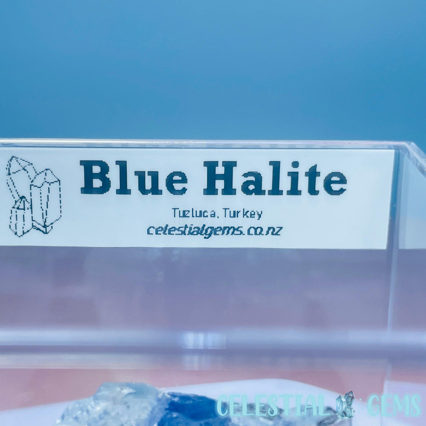 Rare Blue Halite Small Specimen in Box