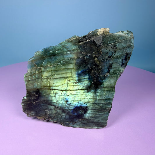 Labradorite Semi-Polished Small Freeform (Video)