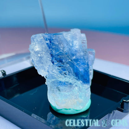 Rare Blue Halite Small Specimen in Box