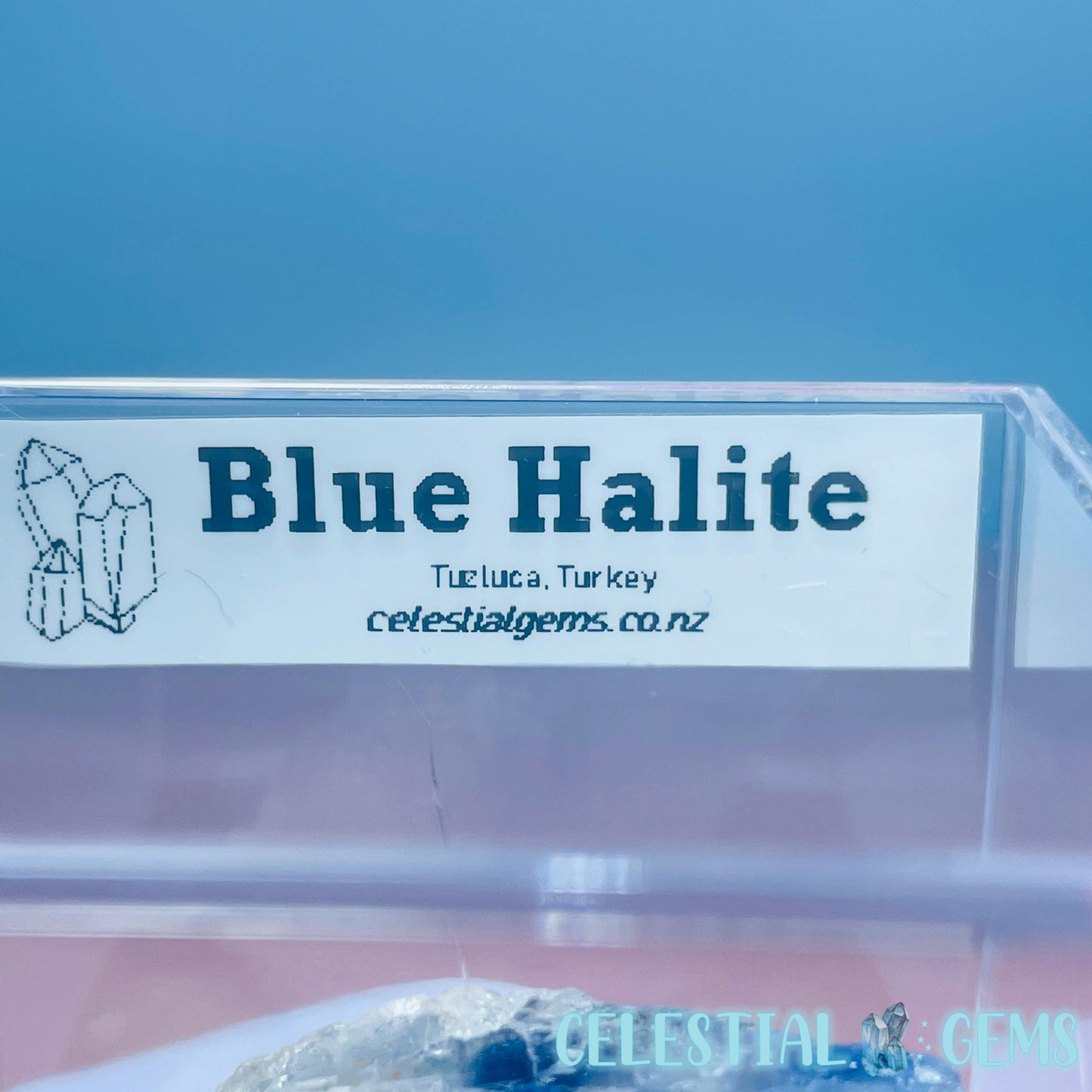 Rare Blue Halite Small Specimen in Box