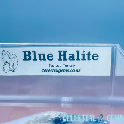 Rare Blue Halite Small Specimen in Box