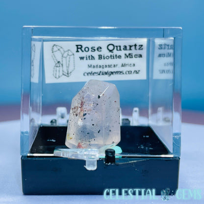 Rose Quartz + Biotite Mica Mini Gemstone Specimen in Box