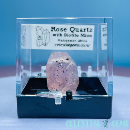 Rose Quartz + Biotite Mica Mini Gemstone Specimen in Box