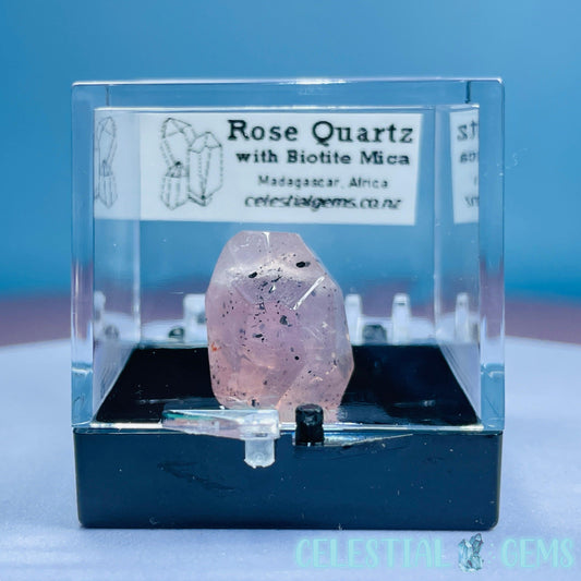 Rose Quartz + Biotite Mica Mini Gemstone Specimen in Box