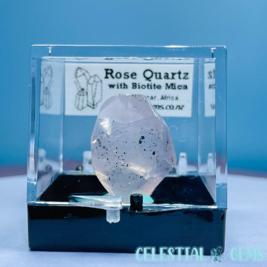 Rose Quartz + Biotite Mica Mini Gemstone Specimen in Box