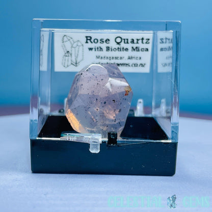 Rose Quartz + Biotite Mica Mini Gemstone Specimen in Box