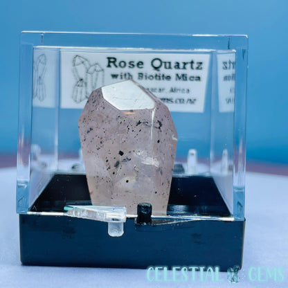 Rose Quartz + Biotite Mica Mini Gemstone Specimen in Box