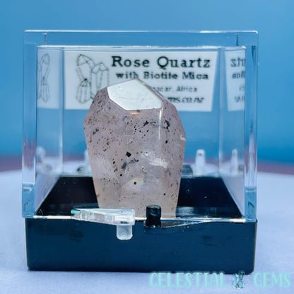 Rose Quartz + Biotite Mica Mini Gemstone Specimen in Box