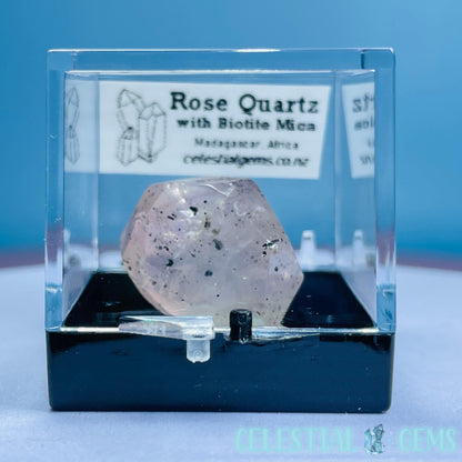 Rose Quartz + Biotite Mica Mini Gemstone Specimen in Box