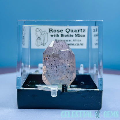 Rose Quartz + Biotite Mica Mini Gemstone Specimen in Box