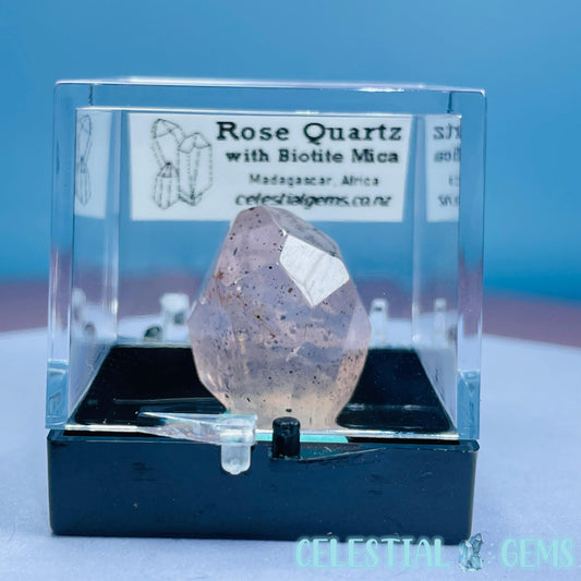 Rose Quartz + Biotite Mica Mini Gemstone Specimen in Box