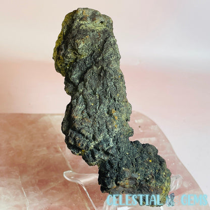 Coprolite Fossilised Poo Specimen (60MYO Giant Madagascan Turtle)