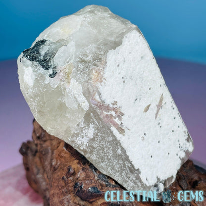 Pink,  Blue + Black Tourmaline in Citrine Quartz with Feldspar Raw Small Chunk Specimen