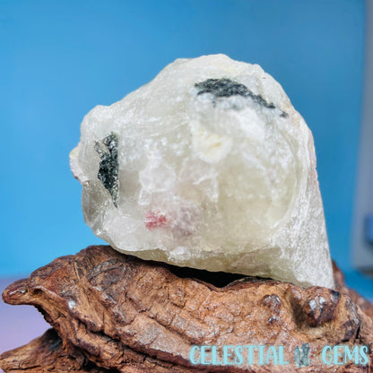 Pink,  Blue + Black Tourmaline in Citrine Quartz with Feldspar Raw Small Chunk Specimen