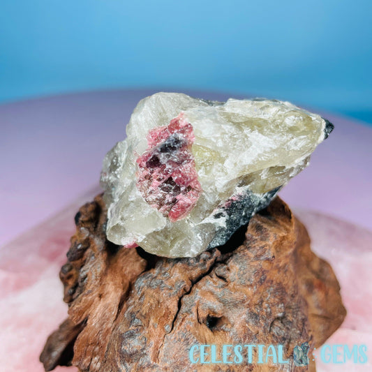 Pink + Black Tourmaline in Citrine Quartz Small Raw Chunk Specimen