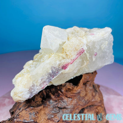 Pink Tourmaline in Quartz with Albite, Lepidolite + Muscovite Rosettes Small Raw Cluster Specimen