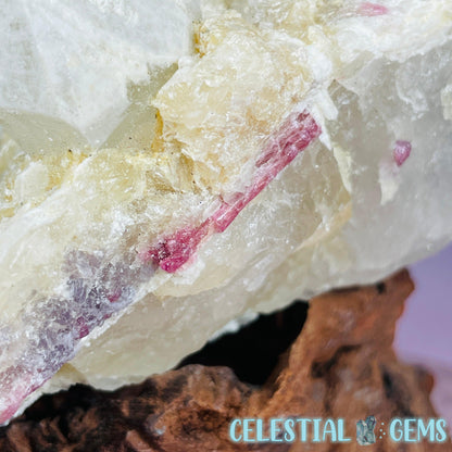 Pink Tourmaline in Quartz with Albite, Lepidolite + Muscovite Rosettes Small Raw Cluster Specimen