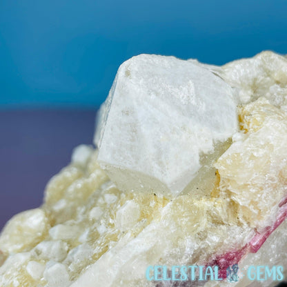 Pink Tourmaline in Quartz with Albite, Lepidolite + Muscovite Rosettes Small Raw Cluster Specimen