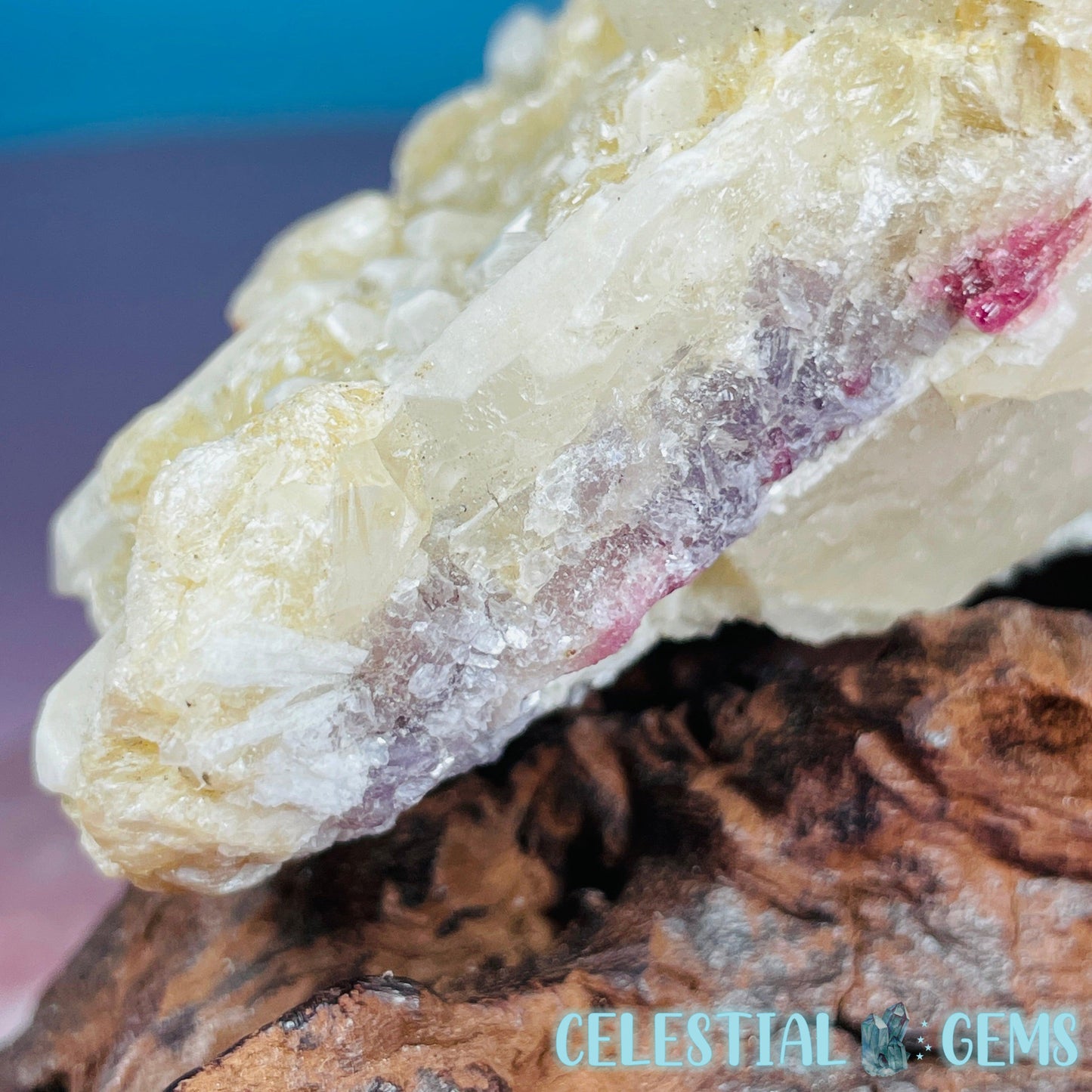Pink Tourmaline in Quartz with Albite, Lepidolite + Muscovite Rosettes Small Raw Cluster Specimen