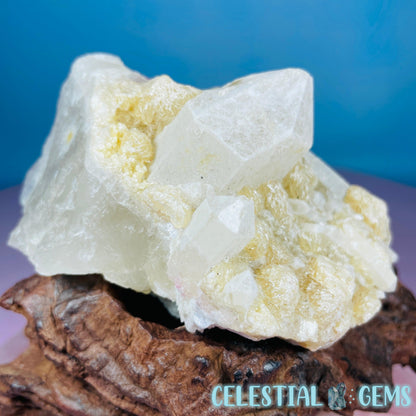 Pink Tourmaline in Quartz with Albite, Lepidolite + Muscovite Rosettes Small Raw Cluster Specimen