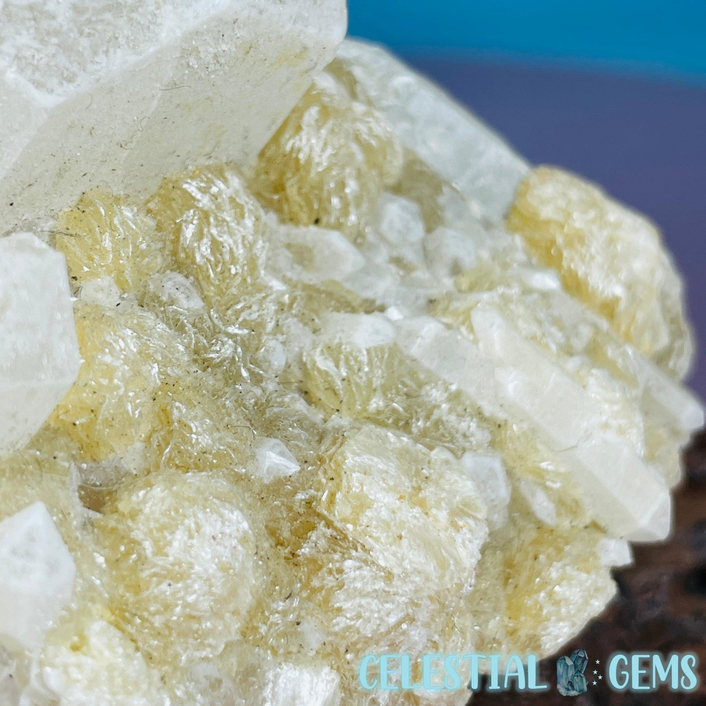 Pink Tourmaline in Quartz with Albite, Lepidolite + Muscovite Rosettes Small Raw Cluster Specimen