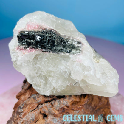 Pink + Black Tourmaline in Smoky Quartz Raw Medium Chunk Specimen