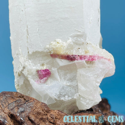 Pink Tourmaline in Quartz Point with Albite + Muscovite Raw Medium Chunk Specimen