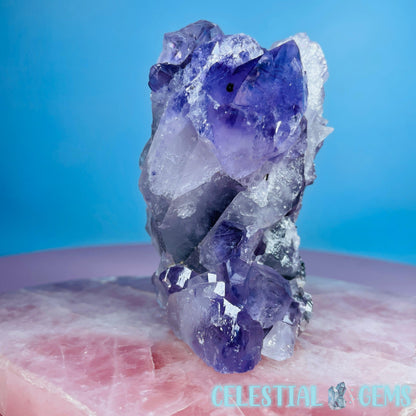 Amethyst + Hollandite Medium Standing Cluster Freeform