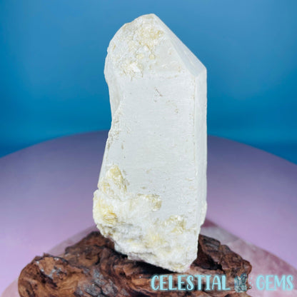 Pink Tourmaline in Quartz Point with Albite + Muscovite Raw Medium Chunk Specimen