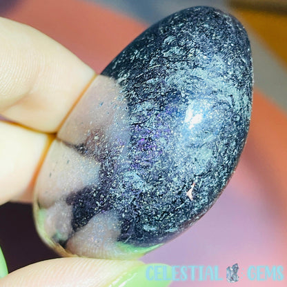 Rare Covellite Metallic Palmstone with Pink Fire Flash! (Video)