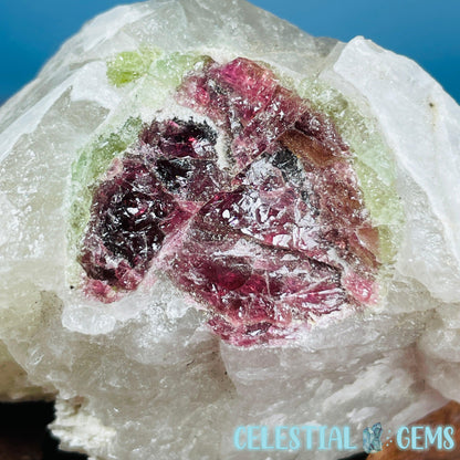 Watermelon (Green + Pink) Tourmaline in Smoky Quartz with Albite Raw Medium Chunk Specimen