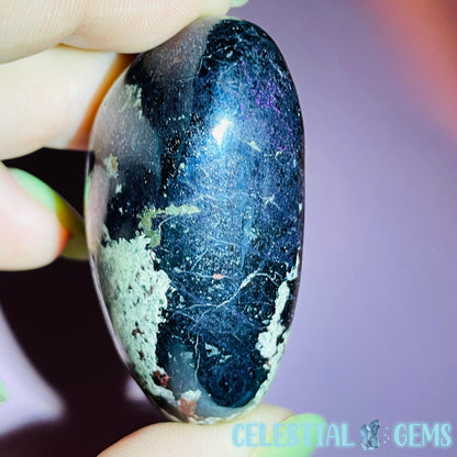 Rare Covellite Metallic Palmstone with Pink Fire Flash! (Video)