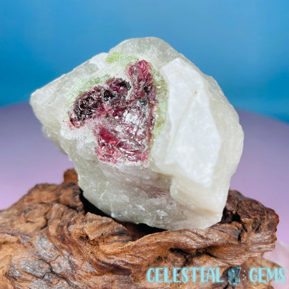 Watermelon (Green + Pink) Tourmaline in Smoky Quartz with Albite Raw Medium Chunk Specimen