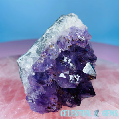 Dark Amethyst Small Standing Cluster Freeform