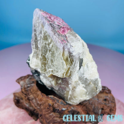 Pink + Black Tourmaline in Smoky Quartz with Lepidolite + Muscovite Raw Medium Chunk Specimen