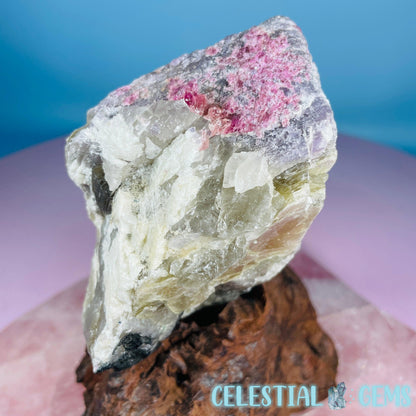 Pink + Black Tourmaline in Smoky Quartz with Lepidolite + Muscovite Raw Medium Chunk Specimen