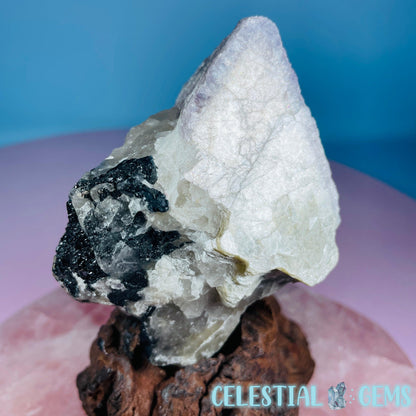 Pink + Black Tourmaline in Smoky Quartz with Lepidolite + Muscovite Raw Medium Chunk Specimen