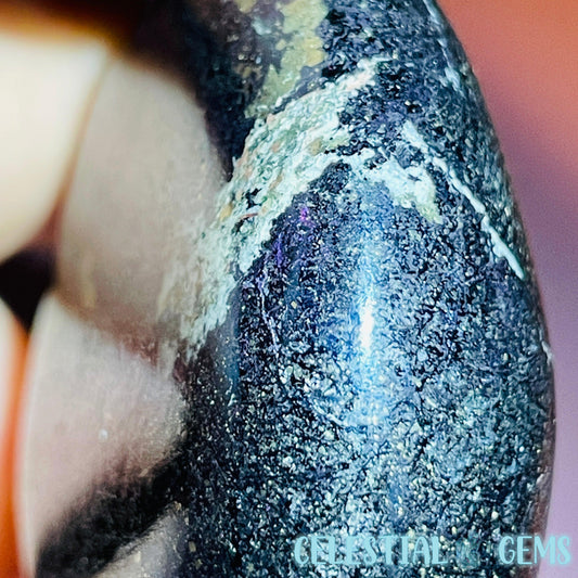 Rare Covellite Metallic Palmstone with Pink Fire Flash! (Video)