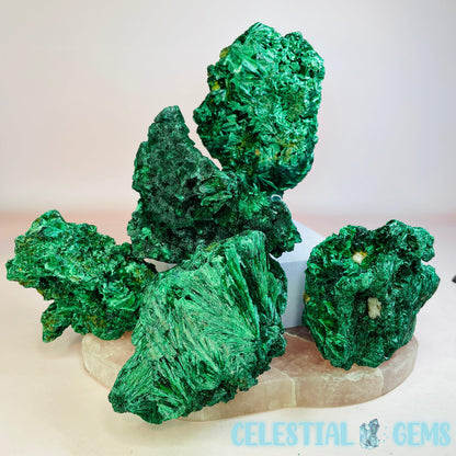 Velvet Malachite Raw Medium Specimen