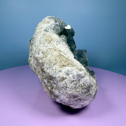 Celestite Large Cluster Geode