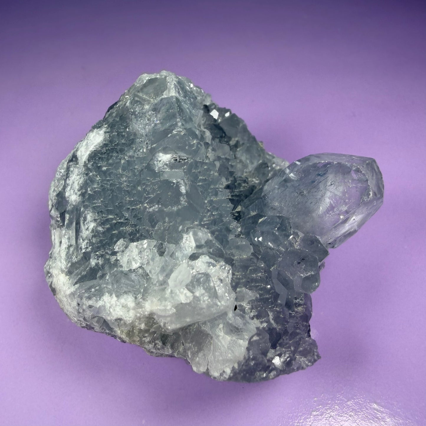 Celestite Small Cluster Geode