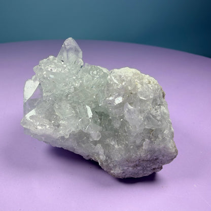Celestite Small Cluster Geode
