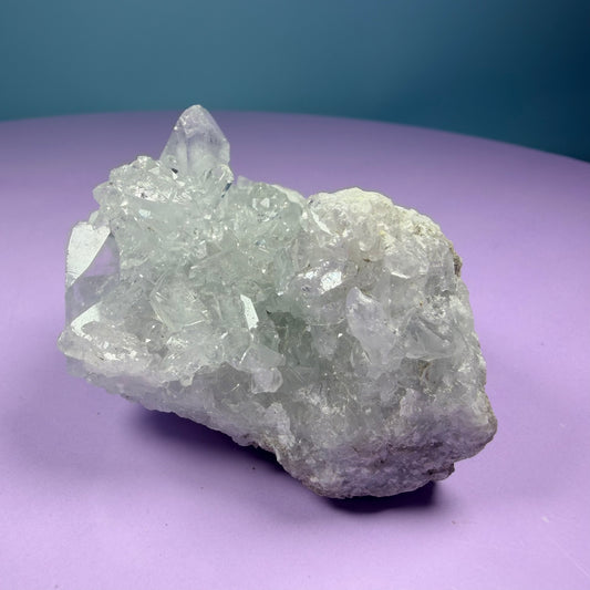 Celestite Small Cluster Geode